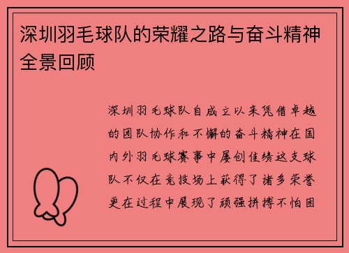 深圳羽毛球队的荣耀之路与奋斗精神全景回顾